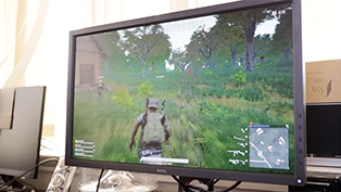 review-monitor-benq-zowie-